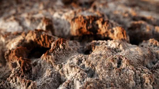 Divulgação / Freepik