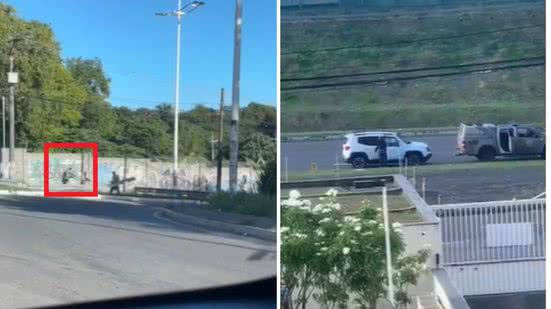 Reprodução