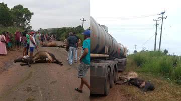 Montagem/Divulgação