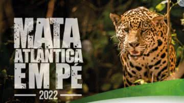 Divulgação/MP Paraná