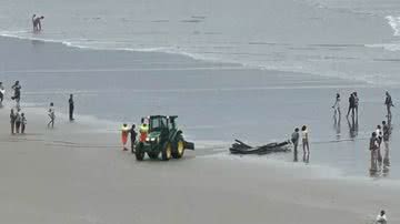 Divulgação/Bombeiros