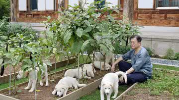 Reprodução / Instagram @moonjaein