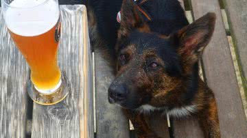 Reprodução/ Vídeo