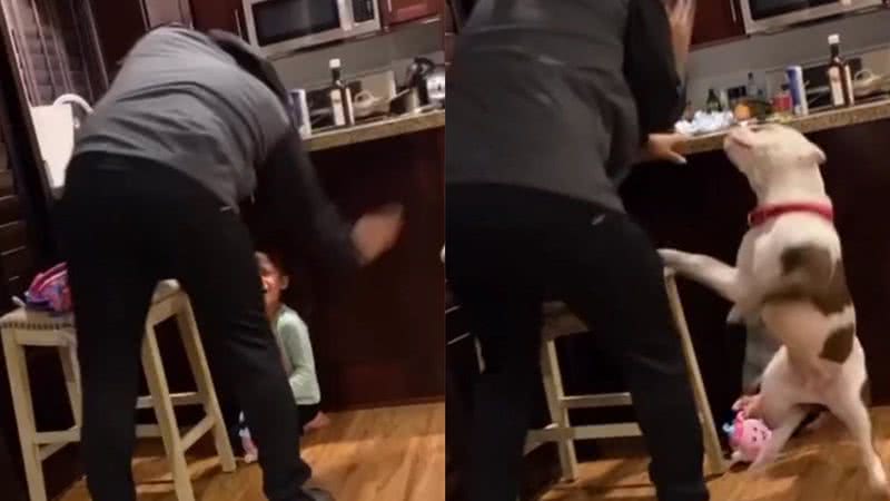 Reprodução/TikTok @_houseofbullies_