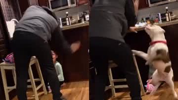 Reprodução/TikTok @_houseofbullies_