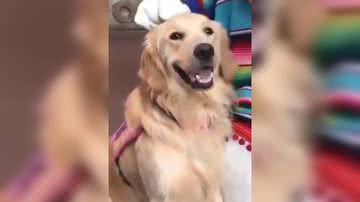 Reprodução/ Vídeo
