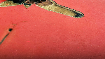 Divulgação/Sindipetro Bahia