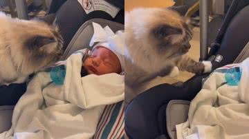 Reprodução/TikTok @caydencazier