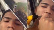 Reprodução/TikTok @jovem_ze
