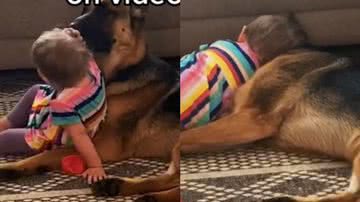 Reprodução/TikTok @amandaa6613