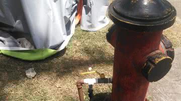 Reprodução / Redes Sociais