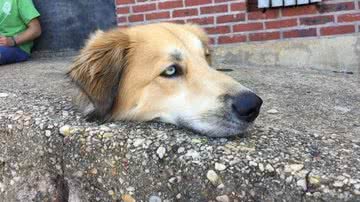 Reprodução/Reddit @nathanddfd1234