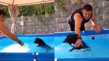 Reprodução/Twitter @BichinhosFB