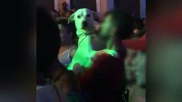 Reprodução/Twitter @beatriz_abobo