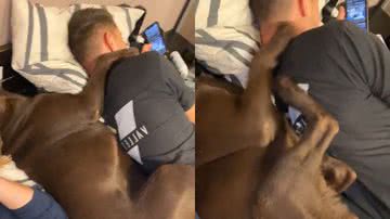 Reprodução/TikTok @carlagiusti