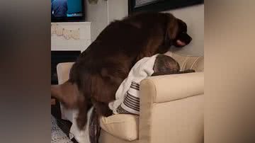 Reprodução/TikTok @shaunaconno