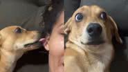 Reprodução/TikTok @fatimarruda40