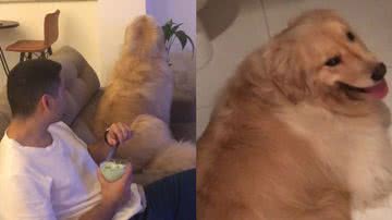 Reprodução/TikTok @bruce.paloma