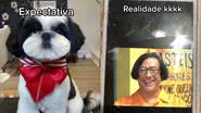 Reprodução/TikTok @wandersoncamilly