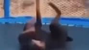 Reprodução/ Vídeo