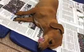 Reprodução/ Vídeo