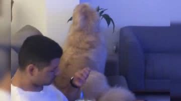 Reprodução/ Vídeo