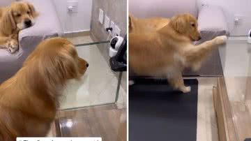 Reprodução / Instagram