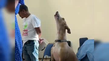 Reprodução/ Vídeo