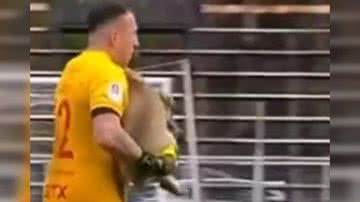 Reprodução/ Vídeo