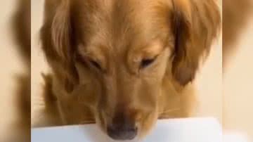 Reprodução/ Vídeo