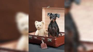 Karl Sommerbauer por Pixabay