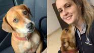 Reprodução/TikTok @karinebecker949