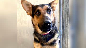 Reprodução/Facebook/Lois Chisholm