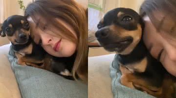 Reprodução/TikTok @miniaturepinscherlili