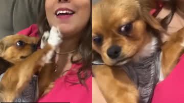 Reprodução/Instagram @mypetastro