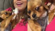 Reprodução/Instagram @mypetastro