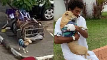 Reprodução/TikTok @amandamallur