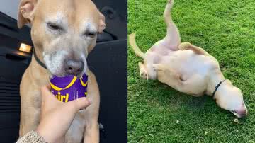 Reprodução/TikTok @emmrosex