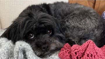 Reprodução/Leitor BNews