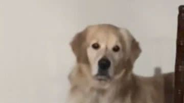 Reprodução/ Vídeo