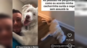 Reprodução/ Vídeo