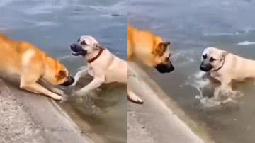 Reprodução/Instagram @zackalves22