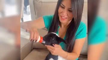 Reprodução/ Vídeo