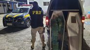 Divulgação/PRF-SP