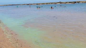 Reprodução / Redes Sociais