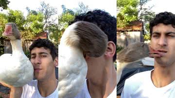 Reprodução/TikTok @juniorguerreiro3