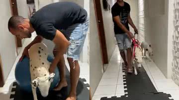Respondendo a @lara.gaby3004 #cachorrosengraçados #tentenãorir #engra