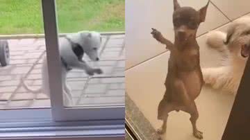 Reprodução / Redes Sociais