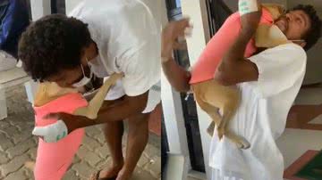 Reprodução / TikTok @amandamallur