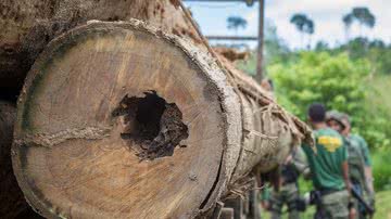 Vinícius Mendonça/ Ibama